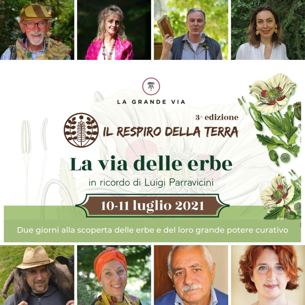 Grazie per questa luce. Erica (4)